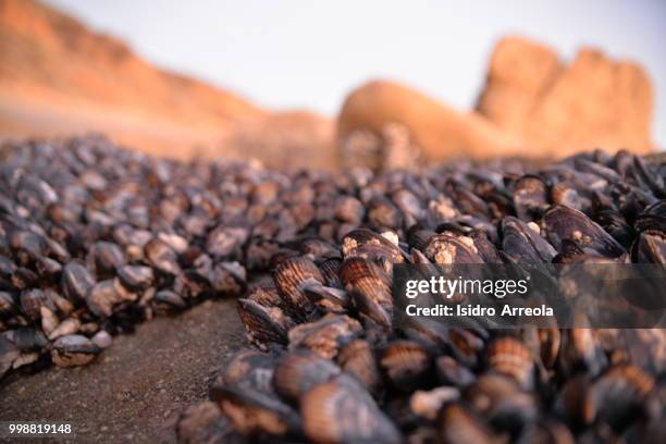 hang on to your rocks - unprocessed bildbanksfoton och bilder