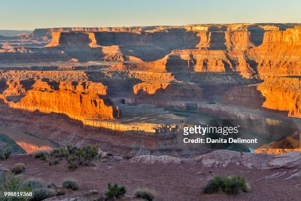 dead horse point in early morning, dead horse state park, moab, utah, usa - dead horse point state park stock pictures, royalty-free photos & images