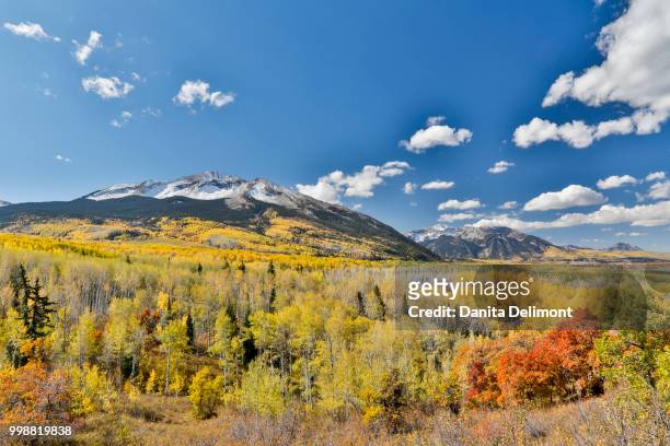 fall colors near kebler pass, crested butte, colorado, usa - pitkin county stock pictures, royalty-free photos & images