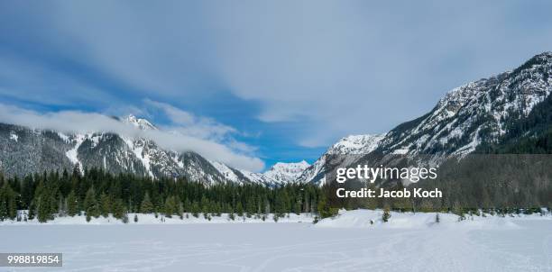 gold creek pond in winter - koch stock pictures, royalty-free photos & images