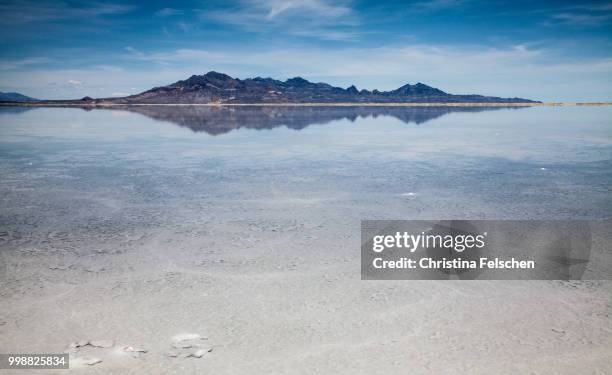 salt lake, utah - christina felschen fotografías e imágenes de stock