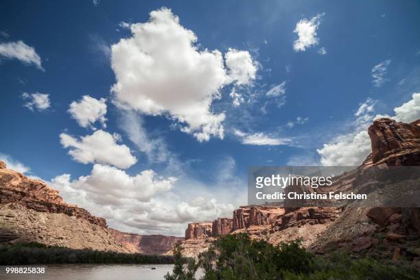 green river - christina felschen stock pictures, royalty-free photos & images