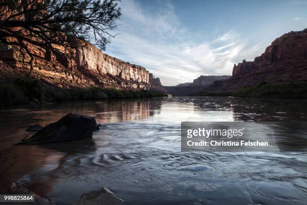 sunrise over green river - christina felschen stock pictures, royalty-free photos & images
