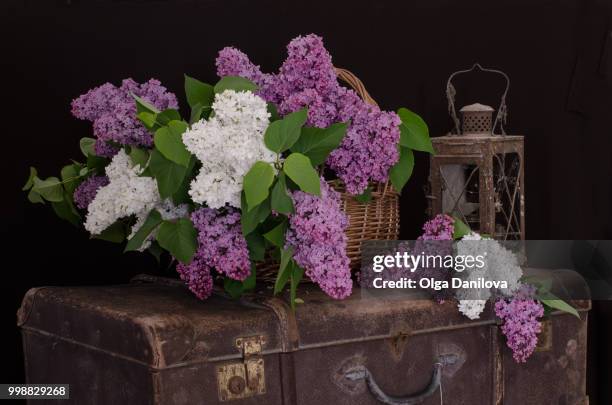 feast of old suitcases - censer stock pictures, royalty-free photos & images