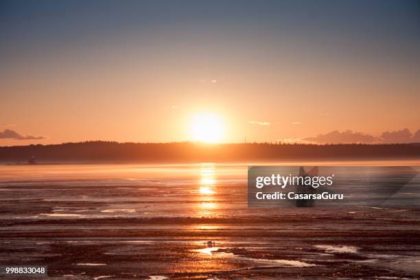 midnight sun, tampere - summer solstice stock pictures, royalty-free photos & images