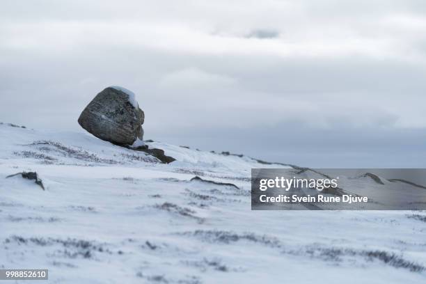 Norway Rune History Rocks 49 Rune Stone Norway Stock Photos, High-Res Pictures, and Images ...