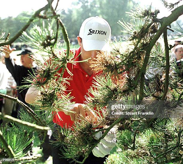 Anthony Wall of England inspects his ball after landing in in a tree on the 16th hole during the third round of the Lancome Trophy at the...