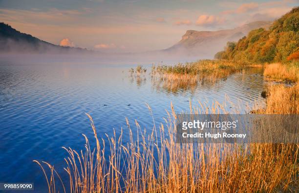 ireland co sligo glencar lake and king's mountain - hugh rooney stock pictures, royalty-free photos & images