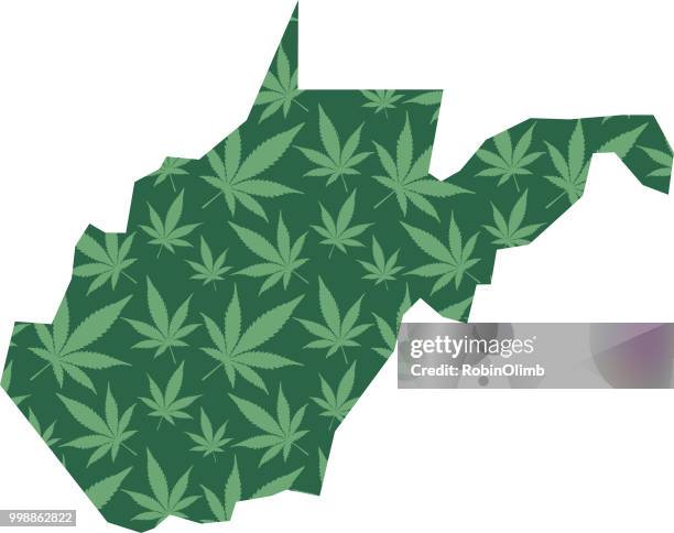 west virginia marijuana leaves map - robinolimb stock illustrations