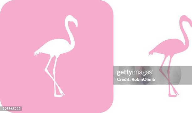 pinkframingo様、専用ページになります！┏〇゛✧︎*。 🦩 Flamingo Emoji: Meaning & Usage