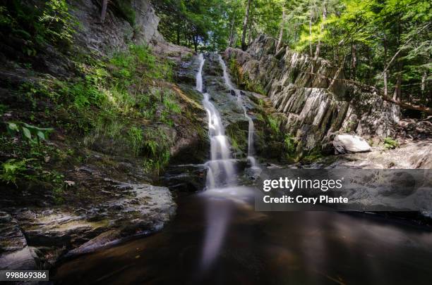 cascade falls - plante foto e immagini stock