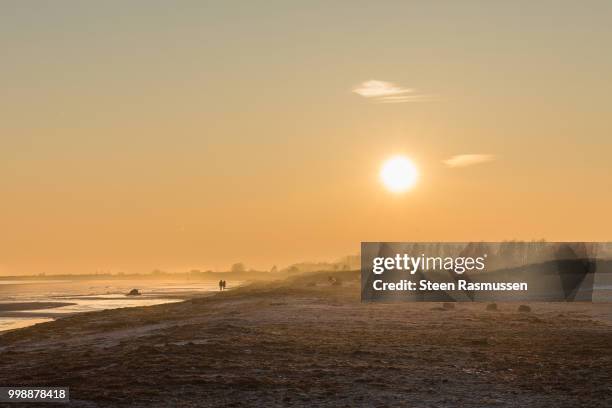 walking into the sunset - steen stock pictures, royalty-free photos & images