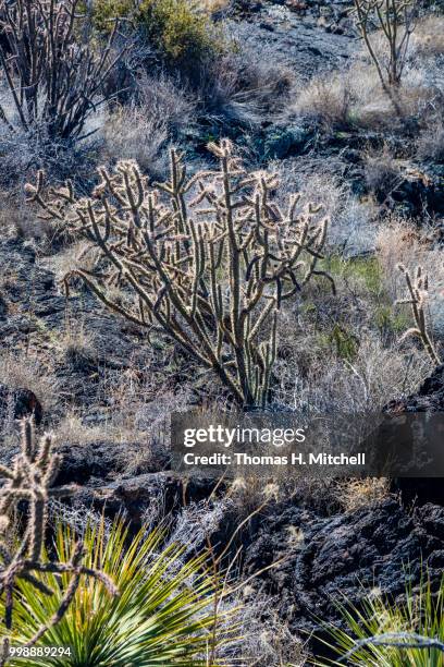 nm-valley of fire - 2017 thomas fire stock-fotos und bilder