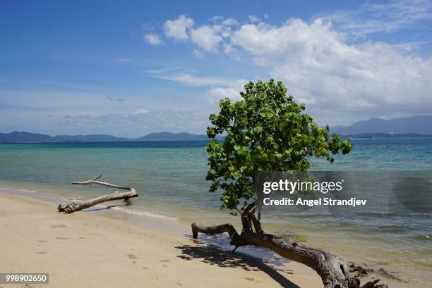 kota kinabalu, malaysia - kota kinabalu 個照片及圖片檔