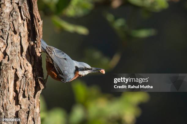 got it - happy weekend - got stockfoto's en -beelden