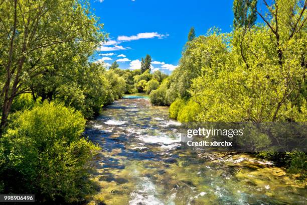 krcic river stream ig freen landscape, knin, dalmatian zagora, croatia - zagora imagens e fotografias de stock