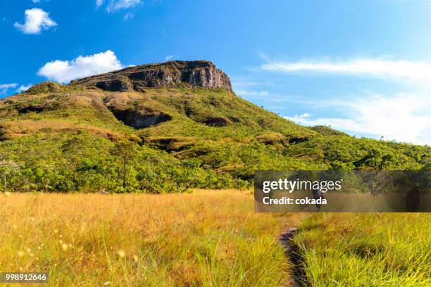 junge frau, wandern in der chapada dos veadeiros - goias stock-fotos und bilder