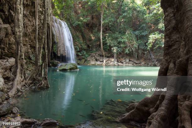 erawan i - wolfgang wörndl stock pictures, royalty-free photos & images