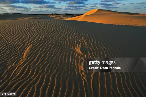 silver lake sand dunes - silver lake fotografías e imágenes de stock