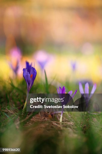 Spring is here Spring is here