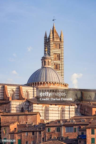 siena - kathedraal van siena stockfoto's en -beelden