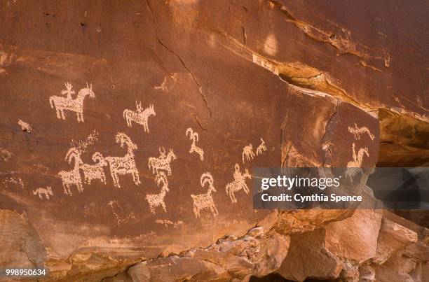 wolfe ranch petroglyphs - animal representation stock pictures, royalty-free photos & images