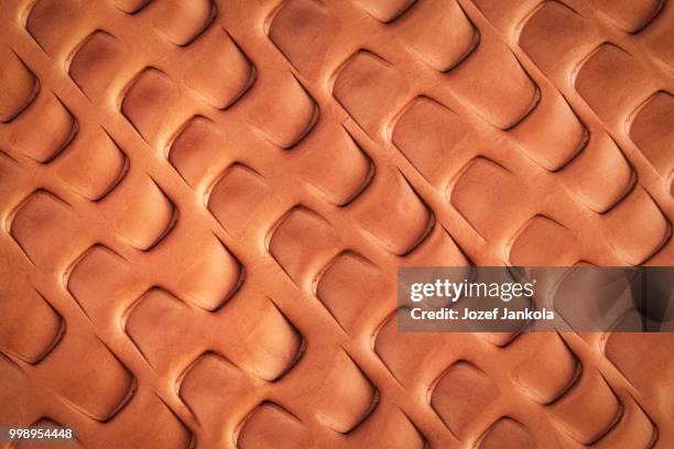 Escarbuncle Pattern Solid 1,173 Insect Exoskeleton Stock Photos, High-Res Pictures, and Images ...