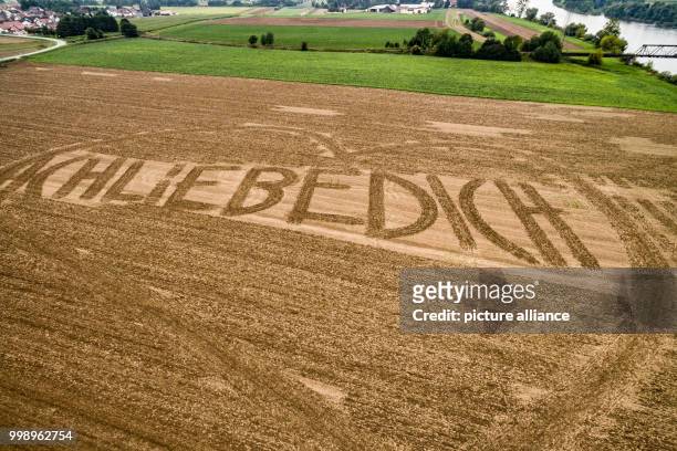 Love you" has been written on an harvested wheat field in Bogen, Germany, 10 August 2017. A farmer surprised his partner when he plowed the message...