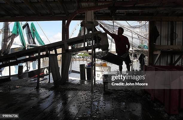 Shrimp retailer Eric Hansen weighs shrimp fresh from the Gulf of Mexico at Chris' Marina on May 18, 2010 in Port Sulfur, Louisiana. Due to the BP oil...