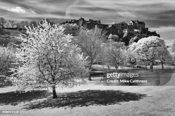 edinburgh castle from the gardens - mike caithness fotografías e imágenes de stock