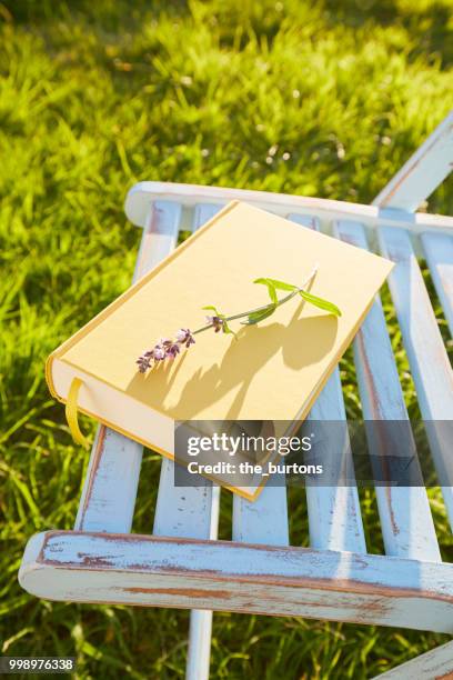 still life of yellow book and chair on meadow - libri gialli estate foto e immagini stock