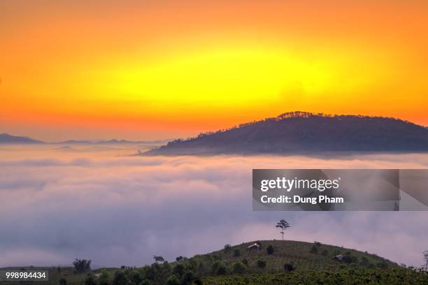 sunset on the fog - dung stock pictures, royalty-free photos & images