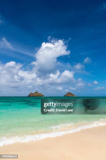 lanikai beach - lanikai beach stock pictures, royalty-free photos & images