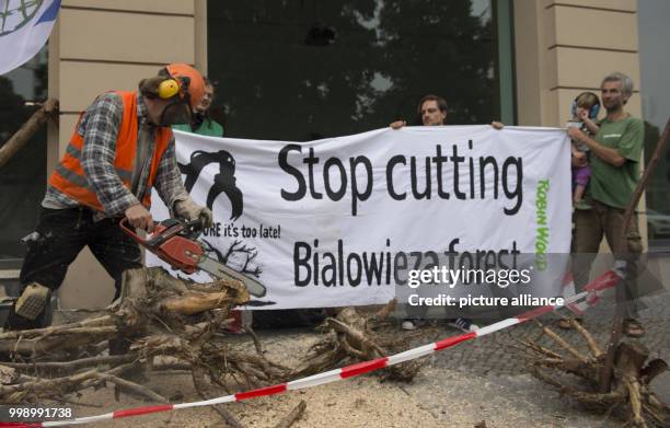 Members of the environmental organisation "Robin Wood" protest with tree trunk peelings and a banner with the text "Stop cutting Bialowieza forest"...