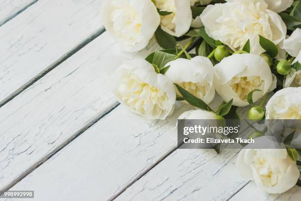 bouquet of white peonies on the wooden table, soft focus background - lisianthus stock pictures, royalty-free photos & images