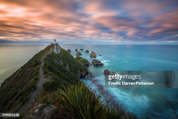 nugget point morning - nugget point imagens e fotografias de stock