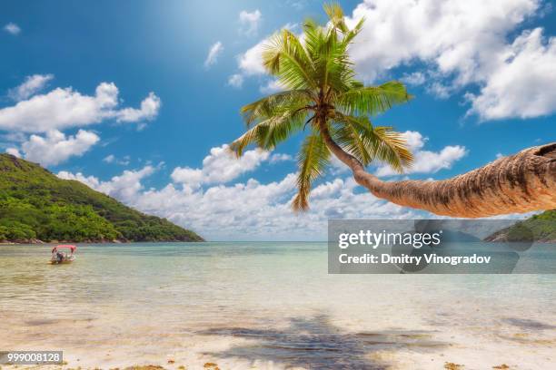 paradise beach - paradise beach stock pictures, royalty-free photos & images