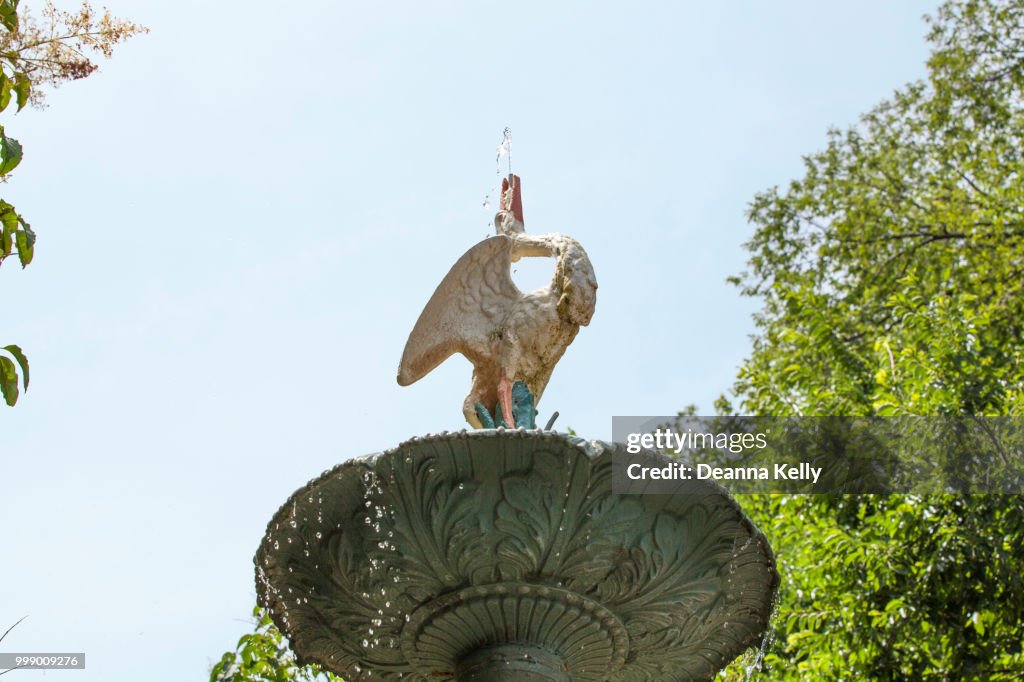 Top Feature of a Goose Spouting Water on Historic Waterfall Fountain at Merrick Rose Garden