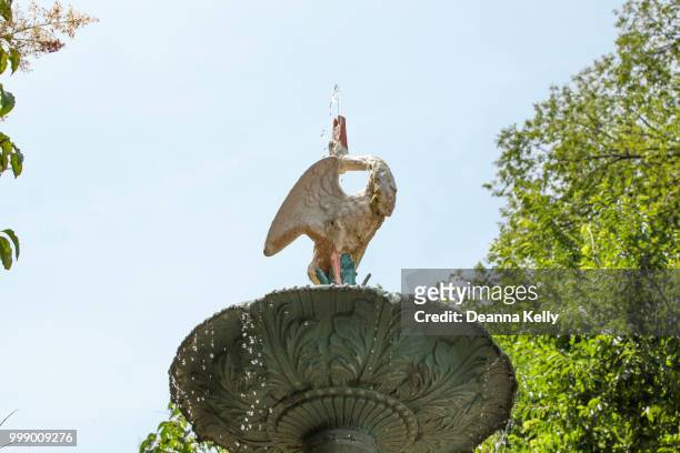 top feature of a goose spouting water on historic waterfall fountain at merrick rose garden - antique rose stock pictures, royalty-free photos & images