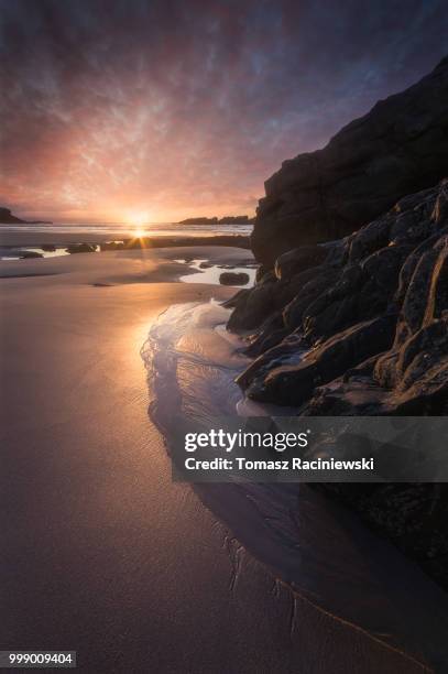 playa de la paloma - paloma stock pictures, royalty-free photos & images