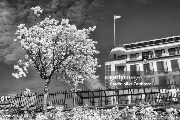 edinburgh cherry blossoms - mike caithness fotografías e imágenes de stock