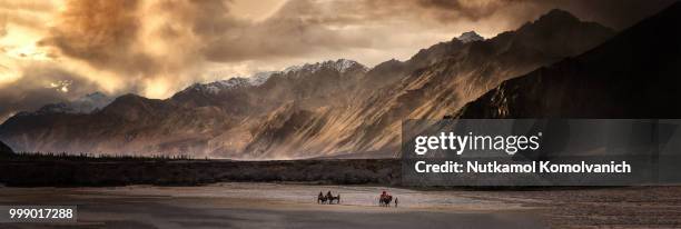 nubra valley - nubra valley stock pictures, royalty-free photos & images