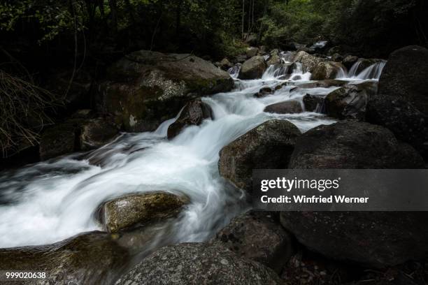 spronser tal i - tal stockfoto's en -beelden