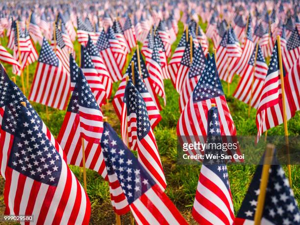 flags 02 - war memorial holiday stock pictures, royalty-free photos & images