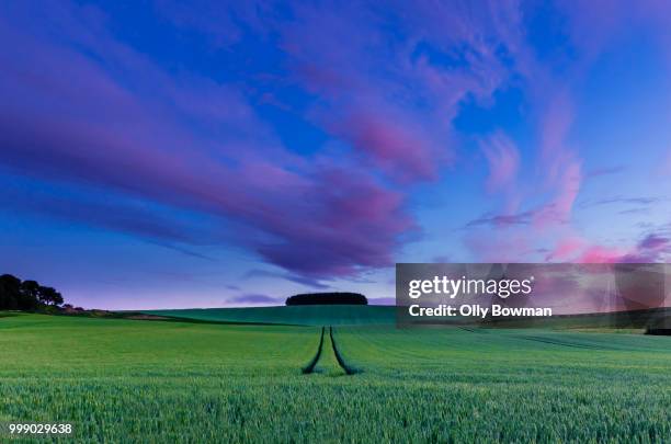 Howman Photos and Premium High Res Pictures - Getty Images