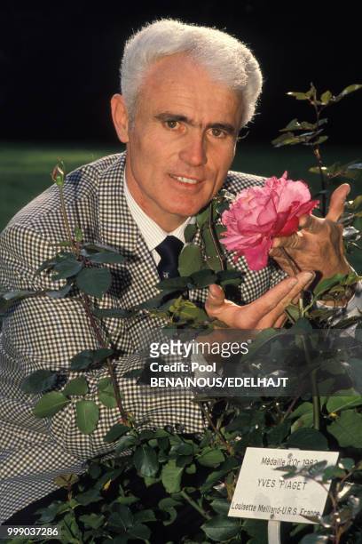 Yves Piaget avec la rose qui porte son nom en octobre 1989 en Suisse.