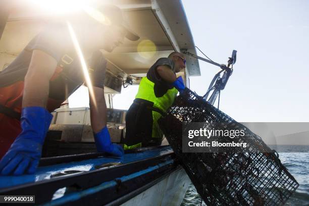 Fisherman pulls in a steel lobster trap on a boat off the coast of Plymouth, Massachusetts, U.S., on Tuesday, July 10, 2018. The proposed...