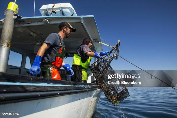 Fisherman pulls in a steel lobster trap on a boat off the coast of Plymouth, Massachusetts, U.S., on Tuesday, July 10, 2018. The proposed...