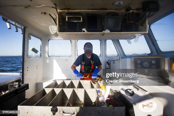 Fisherman places rubber bands on lobster claws on a boat off the coast of Plymouth, Massachusetts, U.S., on Tuesday, July 10, 2018. The proposed...