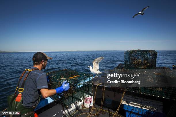 Fisherman moves a steel lobster trap on a boat off the coast of Plymouth, Massachusetts, U.S., on Tuesday, July 10, 2018. The proposed...